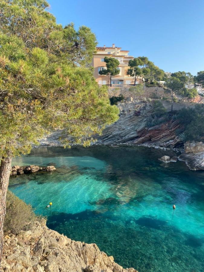 Hostal Villa Senese Παγκουέρα Εξωτερικό φωτογραφία